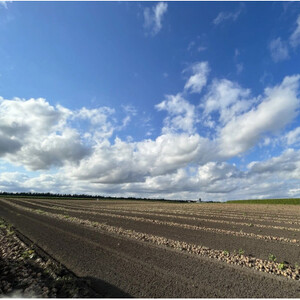 北海道十勝帯広産 ながいも 10kg【配送不可地域：離島】【1497185】