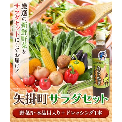 ふるさと納税 矢掛町 矢掛町サラダセット野菜5〜8品目入青空市きらり《4月上旬-10月上旬頃出荷》