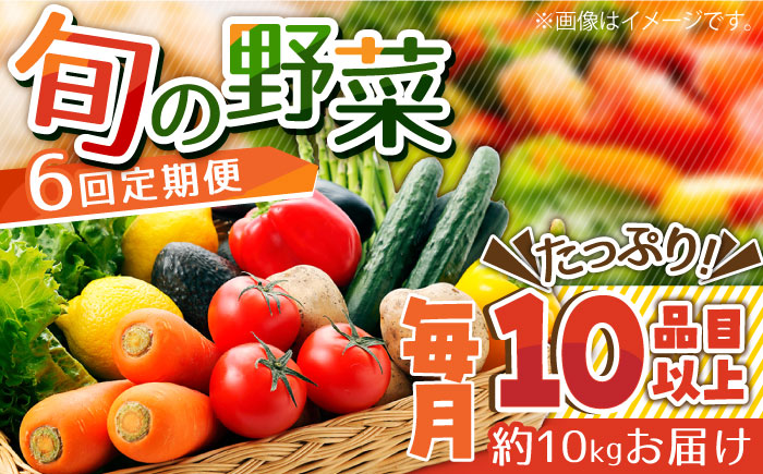 【6回定期便】地元農家さんが収穫した旬のお野菜 10～s 10種詰め合わせ / 野菜 旬 新鮮 採れたて 季節野菜 旬野菜 農家直送 野菜定期便 定期便 / 南島原市 / ミナサポ  [SCW046]