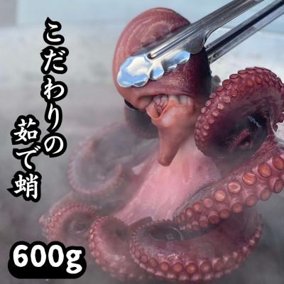 ふるさと納税 刈谷市 こだわりの塩ゆで蛸600g(CAS冷凍・篠島産)タコしゃぶ、たこ焼き、おせち、酒のつまみ(肴)に!
