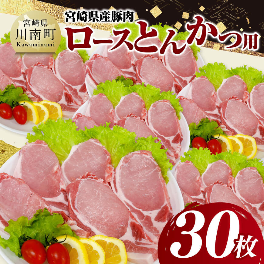宮崎県産豚肉　ロースとんかつ用（100g以上×30枚）　豚肉 豚 肉 [C11620]