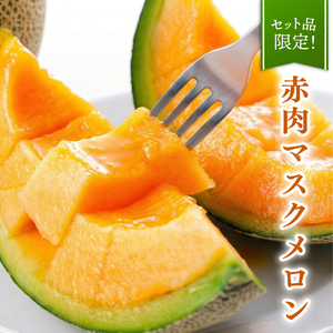 【先行予約】マスクメロン（贈答用） 2玉入 青肉赤肉 高級メロン！ ／ マスクメロン 果物 フルーツ ギフト 農家直送 NE030