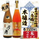 【ふるさと納税】本醸造 720ml 日本酒 仕込み 梅酒 恋梅 720ml 2本 セット 月の井 大洗 地酒 国産梅 日本酒 茨城