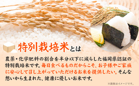 【6ヶ月定期便】令和7年産 特別栽培米 獅子米（品種：夢つくし） 精米 4kg(2kg×2袋) 白米 精米 株式会社コモリファーム《お申込み月の翌月から出荷開始》合計24kgお届け