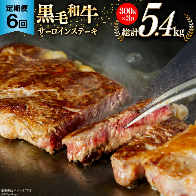 【ふるさと納税】6回 定期便 宮崎県産 黒毛和牛 サーロイン ステーキ 300g ×3×6ヶ月 合計5.4kg [サンアグリフーズ 宮崎県 美郷町 31ba0035] 小分け 冷凍 送料無料 国産 牛 肉 霜降り BBQ バーベキュー キャンプ 真空包装 スペース 収納 サシ がっつり 脂