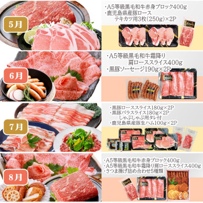 定期便(12回配送)枕崎お楽しみ便(A5等級黒毛和牛・黒豚・黒豚加工品・さつまあげ等) JJ-6003【1166754】 _ 肉 お肉 牛肉 すきやき すき焼き しゃぶしゃぶ 焼肉 霜降り ハンバーグ