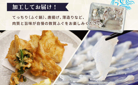 【数量限定】敦賀セット『 敦賀ふぐ 2尾分(約1200g)  & 敦賀市地酒 月きよし720ml ×1本 』[000-a003]