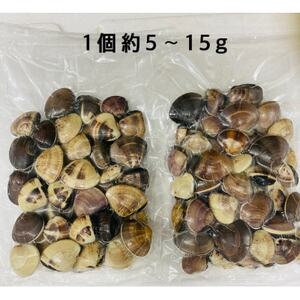 千葉県産 真空冷凍はまぐり(ぜんなはまぐり) 約1.5kg(約500g×3P)【配送不可地域：離島】【1522002】