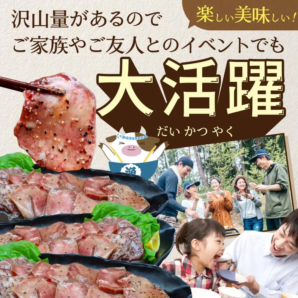 【ふるなび限定】やわらか厚切り 牛タン 塩味 1.2kg 牛タン