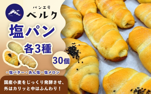 塩パン全種食べ比べ 30個セット / 塩パン あん塩 メロンパン 食べ比べ 惣菜パン パンセット 冷凍パン 朝食 おやつ ぱん 菓子パン ベーカリー / 稲沢市 / パン工房ベルク [BMAF013]