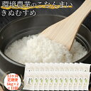 【ふるさと納税】【12ヶ月定期便】環境農業のこなんまい きぬむすめ10kg　定期便・ お米 おにぎり