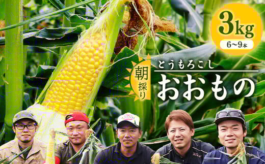 朝採り 農家直送 とうもろこし 3kg「おおもの」（6 - 9本） 山形産 【2025年8月上旬頃から9月下旬頃発送予定】　010-B-HK021