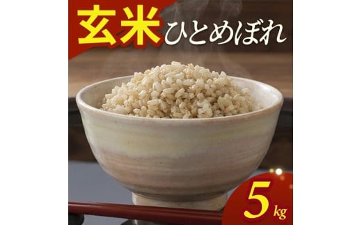 令和7年産【玄米】ひとめぼれ　5kg(5kg×1袋) YA SA2836