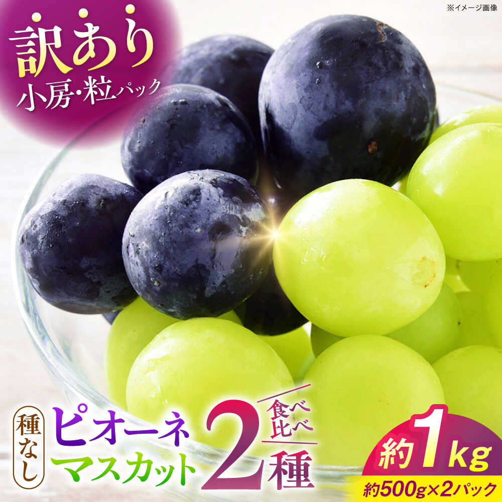 【ふるさと納税】【先行予約】【9月中旬から9月末に順次発送】【訳あり】ピオーネ シャインマスカット 2種セット 計約1kg（各約500g×1パック） | 露地栽培 ぶどう 果物 ピオーネ マスカット フルーツ 葡萄 ブドウ 甘い デザート おいしい 三次市/西田ぶどう園[APCM008]