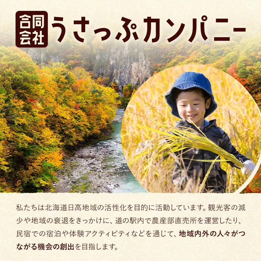 激流 ラフティング体験ツアー 半日コース 1名様 参加対象：中学生以上《30日以内に出荷予定(土日祝除く)》北海道 日高町 旅行 家族旅行 ラフティング アクティビティ