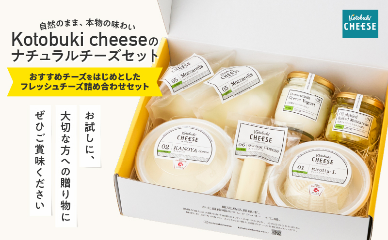 901-1 ナチュラルチーズセット　KN087-001