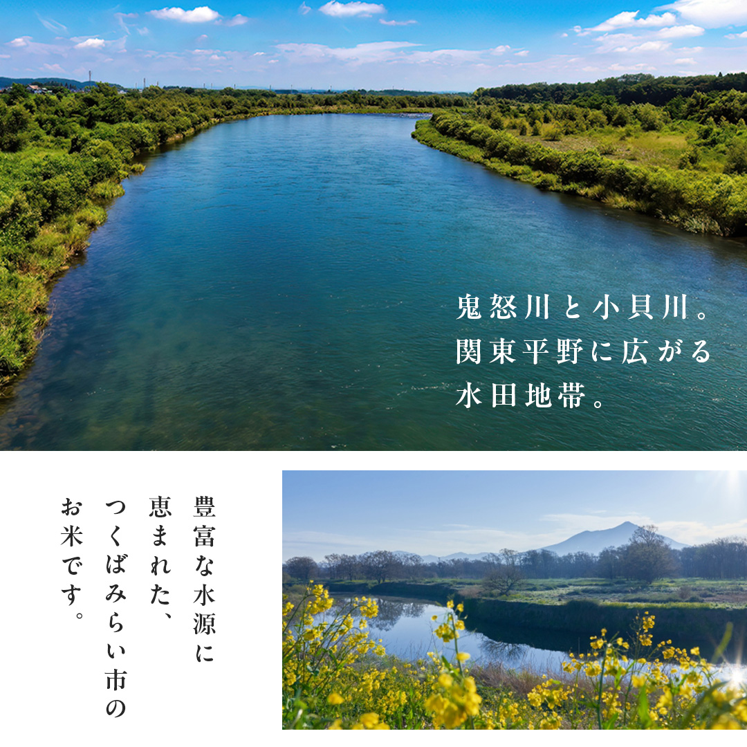 【 無洗米 】令和7年産 新米 コシヒカリ 5kg 茨城県つくばみ