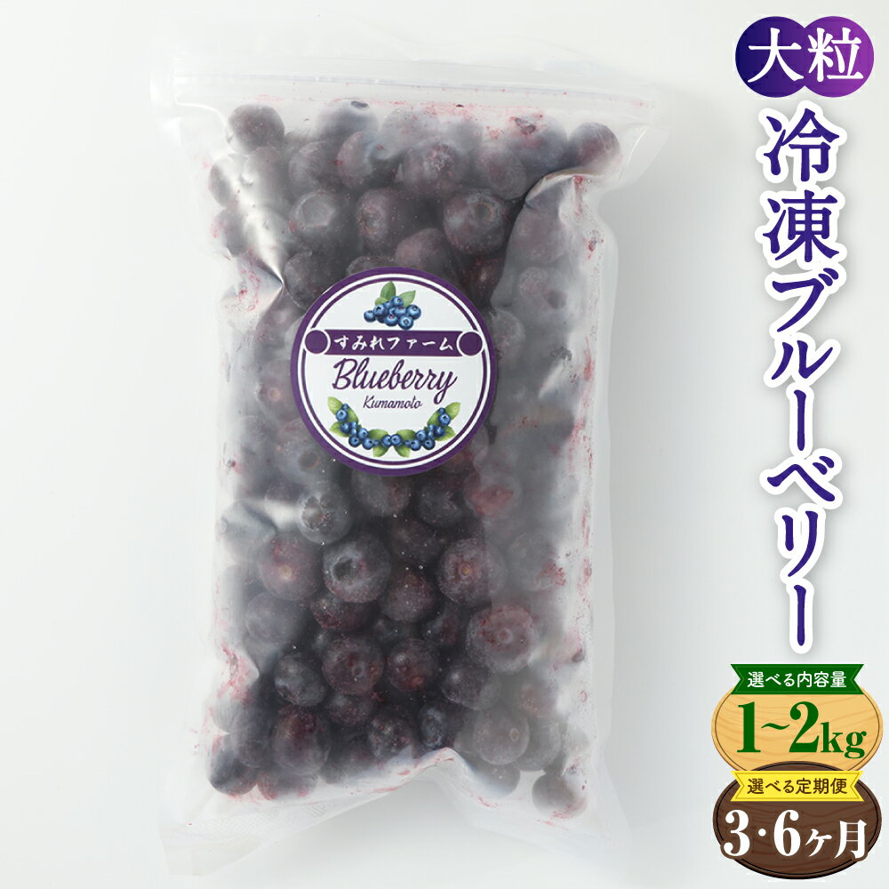 【ふるさと納税】【3か月または6か月連続定期便】熊本県産大粒冷凍ブルーベリー 1kg～2kg （500g×2パック～4パック） 3回 または 6回 選べる内容量 選べる回数 冷凍 大粒 果物 くだもの フルーツ 果実 ブルーベリー九州 熊本県 送料無料