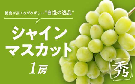 【2025年発送】”自慢の逸品”シャインマスカット 1房 等級 秀 先行予約 先行 予約 山梨県産 産地直送 フルーツ 果物 くだもの ぶどう ブドウ 葡萄 シャイン シャインマスカット 新鮮 人気 おすすめ 国産 贈答 ギフト お取り寄せ 山梨 甲斐市 BH-15