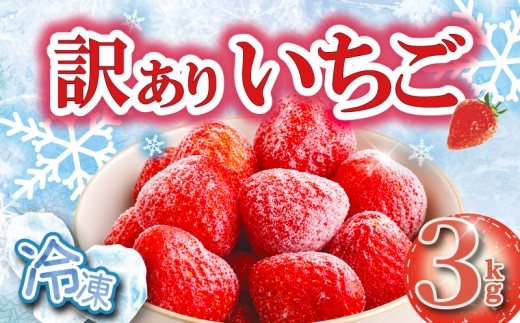 【訳あり】 冷凍いちご 3kg スピード配送 冷凍 いちご 果物 フルーツ デザート アイス いちごジャム ヨーグルト スムージー シャーベット いちごケーキ ショートケーキ ストロベリー おやつ 苺 イチゴ ichigo 果実 いちご果汁 冷凍食品 サイズ 不揃いいちご 訳ありいちご 訳アリ 人気 いちご 子ども 家庭用 おすすめ JA湘南 湘南農業協同組合 神奈川県 平塚市