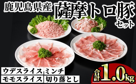 鹿児島県産薩摩トロ豚モリモリおためしパック (合計1kg) 小分け 冷凍 スライス ひき肉 ミンチ モモ ウデ 切り落とし【KNOT】A1038
