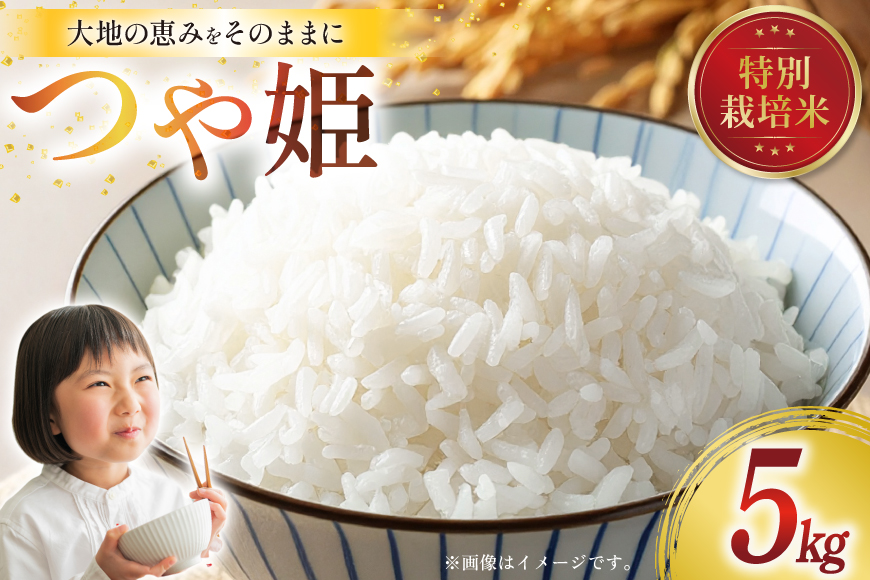 令和7年産 特別栽培米 つや姫 5kg [田制農園 山形県 高畠町 tk06ayt230007] 精米 白米 米 お米 ブランド米 ごはん ご飯