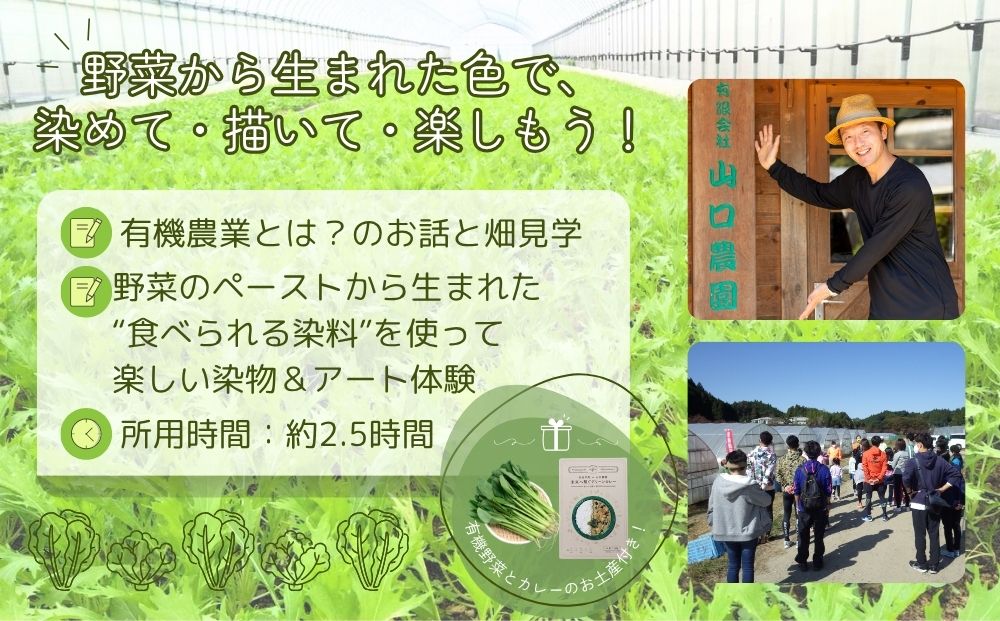 有機農業 染物 アート 体験 お土産付 5名様迄／ 畑見学 食べられる染料 Nara Green 抹菜 農家 有機野菜 オーガニック 無農薬 SDGs 関西 チケット カレー 山口農園 奈良県 宇陀市 ふるさと納税