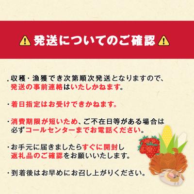 ふるさと納税 千歳市 北海道産【朝ゆで】毛ガニ(600g前後)1尾 期間限定!＜かにのマルマサ＞ |  | 02