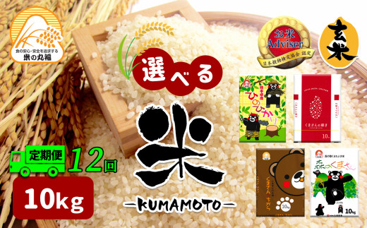 【定期便12回】 熊本県産 くまさんの力 10kg×12回 | 米 こめ お米 おこめ 白米 精米 玄米 定期 定期便 熊本県 玉名市