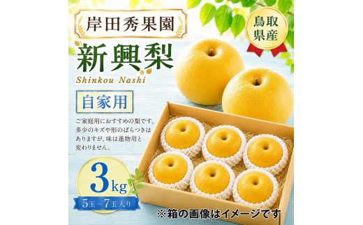 岸田秀果園 新興梨(自家用)3kg 【鳥取県 境港市】