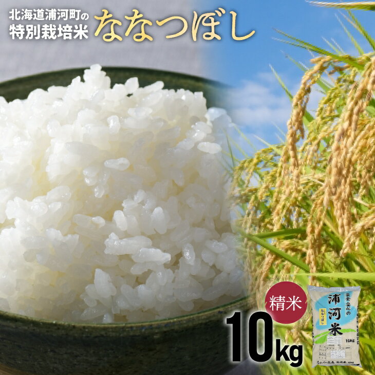 【ふるさと納税】【先行受付開始！】浦河の特別栽培米「ななつぼし」精米(10kg×1袋)[37-1026] 北海道 浦河 ふるさと納税 ななつぼし 令和7年度 10kg 特別栽培米 米 精米 送料無料