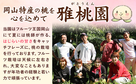【2026年先行予約】ご家庭用 旬の桃 約1.2kg ( 4~6玉前後 ) 株式会社創・和(雅桃園) 《2026年7月上旬-8月上旬頃出荷》岡山県 浅口市 桃 もも フルーツ 果物 青果 旬 白桃 わ