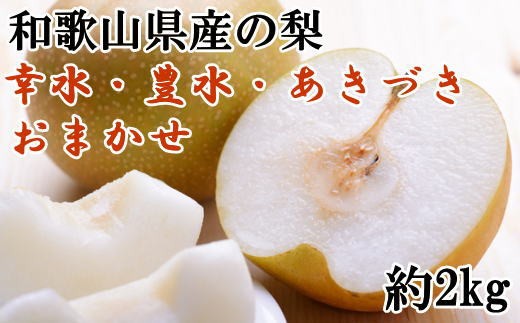 【2026年度発送】和歌山県産の梨約2kg(品種おまかせ)【2026年8月下旬～2026年9月下旬頃に順次発送予定】【tec925C】