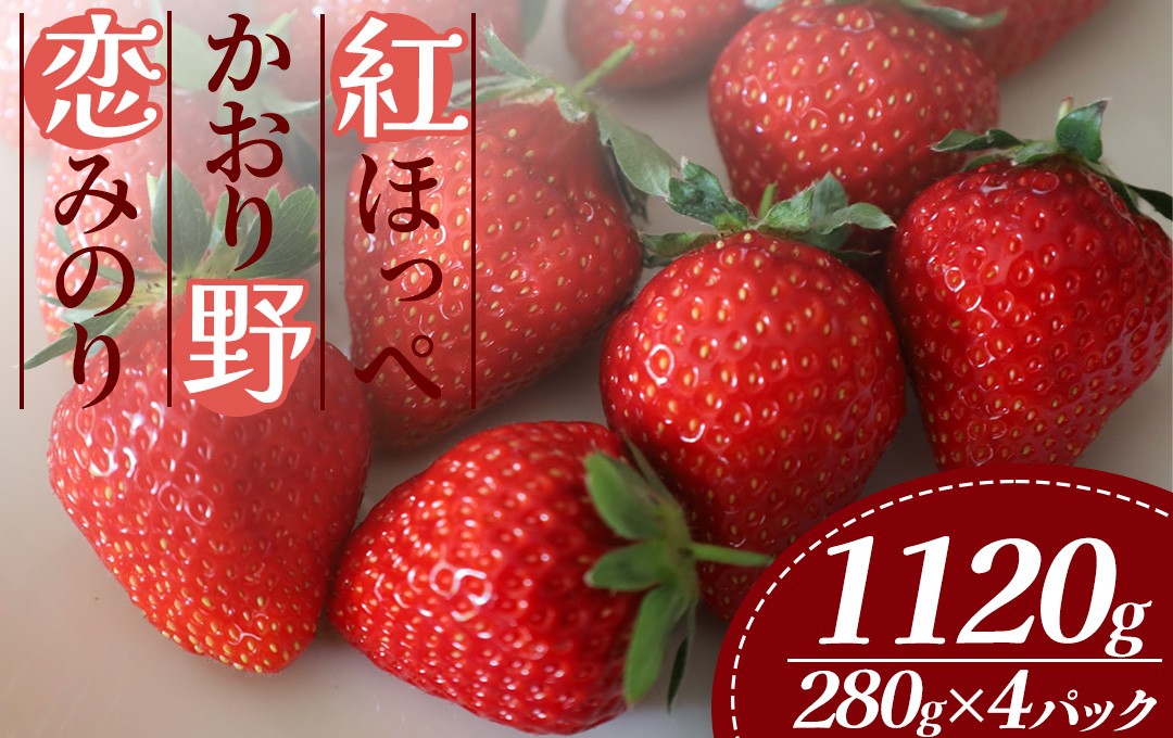 
            【2026年出荷分】 特別賞受賞！ご自宅用いちご　280グラム以上 4パック　【 紅ほっぺ いちご 果物 フルーツ 苺 イチゴ くだもの 静岡県産 期間限定 】　<A-6>
          