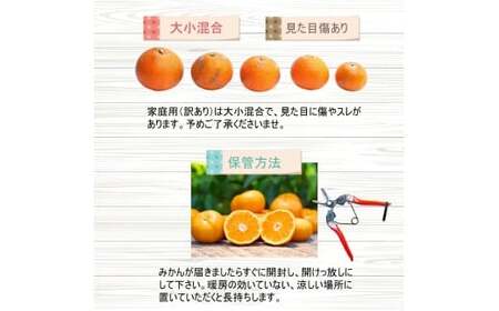 甘夏柑 家庭用 10kg+250g（痛み補償分） 光センサー / みかん 甘い 訳あり 柑橘 晩柑 和歌山 有田 ※4月上旬～6月下旬頃に順次発送 ※北海道・沖縄・離島への配送不可 【ikd023-c