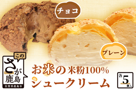  米粉のクッキーシューと米粉のチョコクッキーシュー10個詰め合わせ B-480