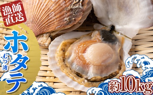 漁師直送 青森県 むつ湾 ホタテ(2年貝) 約10kg (50～80枚) 【龍運丸 水産】ホタテ ほたて 帆立 活ホタテ 人気 生ほたて 生ホタテ 刺身 貝 貝柱 殻付き 海鮮 新鮮 ほたて広場 魚介 青森県 平内町 東北 むつ湾 陸奥湾 漁協 BBQ バーベキュー キャンプ F21J-184