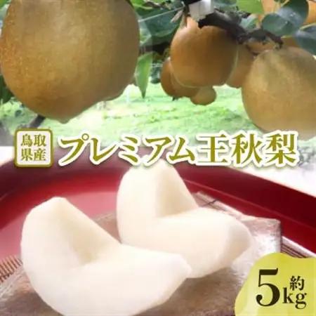 【先行予約】プレミアム王秋梨 約5kg【配送不可地域：離島・北海道・沖縄県】【1532297】