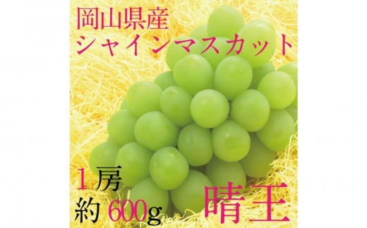 [HS]ぶどう 2025年 先行予約 9月・10月発送 シャイン マスカット 晴王 1房 約600g【ブドウ 葡萄  岡山県産 国産 フルーツ 果物 ギフト】