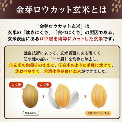 ふるさと納税 坂戸市 金芽ロウカット玄米(無洗米) 8kg(4kg×2袋)(国内産) |  | 01