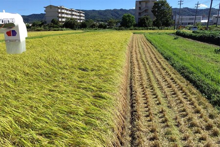 みどりむし農園の丹後産コシヒカリ（玄米10kg）