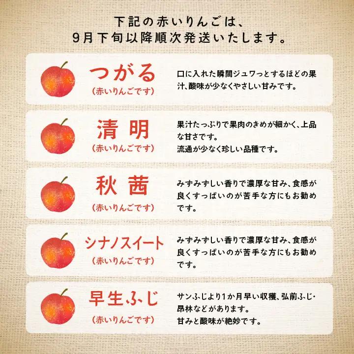《2026年9月下旬以降順次発送》羽山りんご 品種おまかせ(早生・中早生)  3kg【羽山果樹組合】