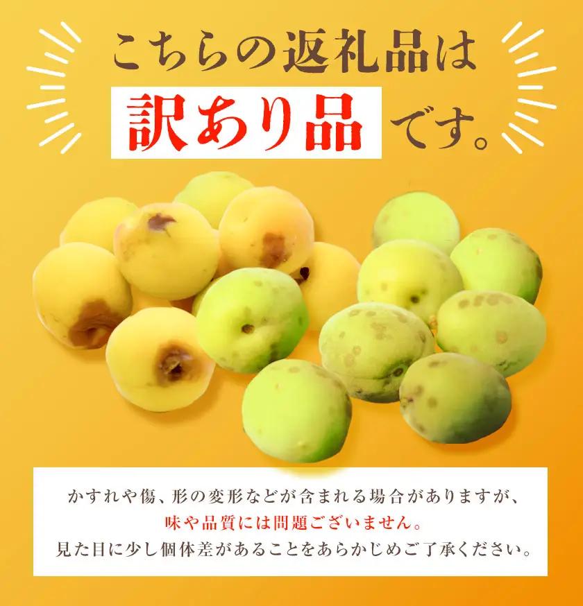 紀州南高梅 訳あり(完熟) 2L 10kg 農業福祉研究機構《6月下旬-7月上旬頃出荷》