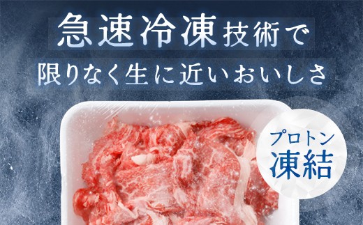 【げんさん】近江牛A5ランク切落し定期便【全3回定期便】【リピート多数】【訳あり】【DG25W】（滋賀県　近江八幡市）