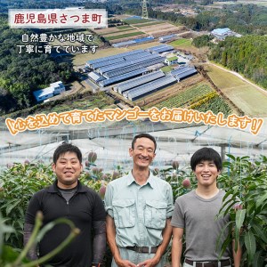 s224 ≪期間・数量限定≫完熟マンゴー月姫(計1kg以上・2個入)鹿児島県さつま町で大切に育てたマンゴーを丁寧に梱包してお届け！化粧箱入りなのでご贈答にも！【ジャパン・アグリ・ビジネス】
