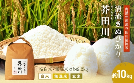 キヌヒカリ 精米 奥播州源流 芥田川産 農家直送 キヌヒカリ【10kg】【先行予約】 玄米