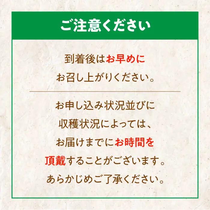 ムキ栗 800g 栗【9月上旬から順次発送】 [AGBN032]
