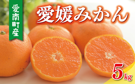 【数量限定】愛媛 みかん 5kg 温州みかん 愛媛みかん 【岡平農園】