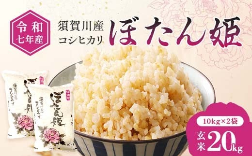 令和7年産 須賀川産コシヒカリ「ぼたん姫」玄米 20kg ブランド米 お米 人気 F7X-0655