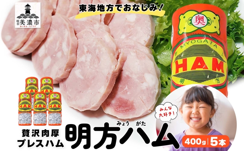 明方 ハム 5本 プレスハム JA ブランド 高級 豚肉 お肉 国産 熟成 塩分 控えめ 天然 豚腸 バーベキュー BBQ 加工品 お取り寄せ 贈答 ギフト 送料無料 めぐみの農業協同組合 岐阜県 美濃市
